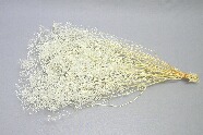 ソフトミニカスミ草／白　約２２ｇ